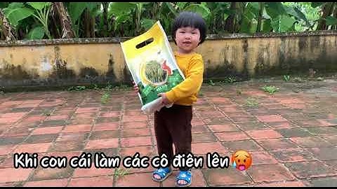 Câu thần chú mỗi khi con cái không nghe lời