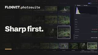 Know which frames are sharp before you look | FLOGVIT.photosuite