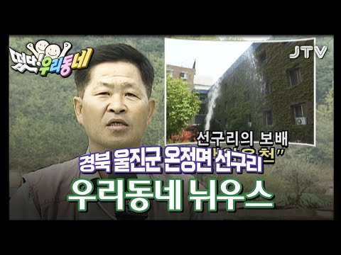 우리동네]  우리동네 늬우스 - 경북 <strong>울진군</strong> 온정면 선구리