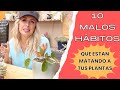 10 malos hábitos que estas haciendo que tus plantas se mueran