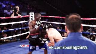 Crawford vine // Boxing Vines