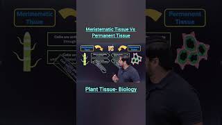 Meristematic vs Permanent Tissue | 5 Key Differences | Class 9 &amp; NEET Biology