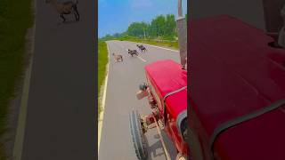 #shots #tractor