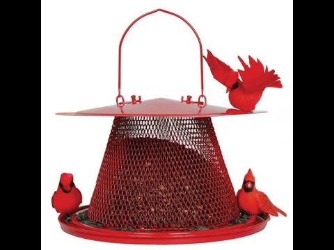 Review: Red Cardinal Bird Feeder C00322