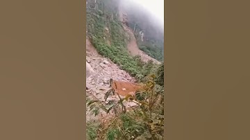 Curug ngebul Longsor 🥺🥺 #curug #curugngebul #longsor #sedih