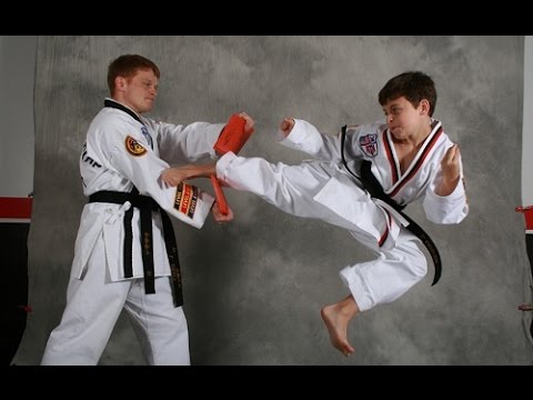 TOP 10 BEST MARTIAL ARTS STYLES AROUND THE WORLD - YouTube