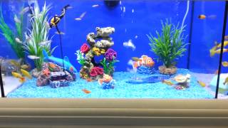 Brilliant Fish Tank For Kids
