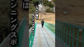 にょんと愉快な仲間たちの男子会な1日 #男子会 #ゴルフ