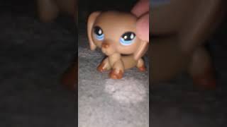 Lps-Music Video Pre Carolinu Chylovu