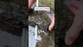 Jaring Ikan Unik short youtubeshorts shorts fishing