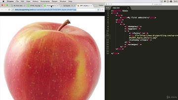 5  Self Closing HTML Tags