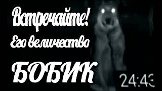 Бобик Но Это 1890 год | (кремируйте её быстрее)