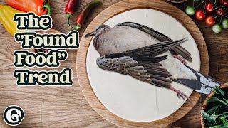 Roadkill Cuisine Is Cheap Meat