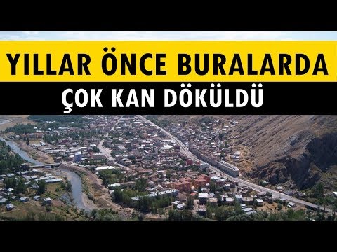 Video: Bağırsak metanojen aşırı büyümesi nedir?