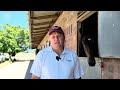 Brett Crawford goes over his runners on L'Ormarins King's Plate day 2024