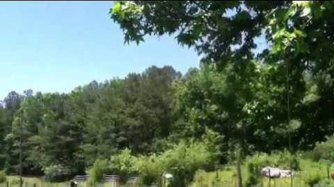 Catching a swarm part 2