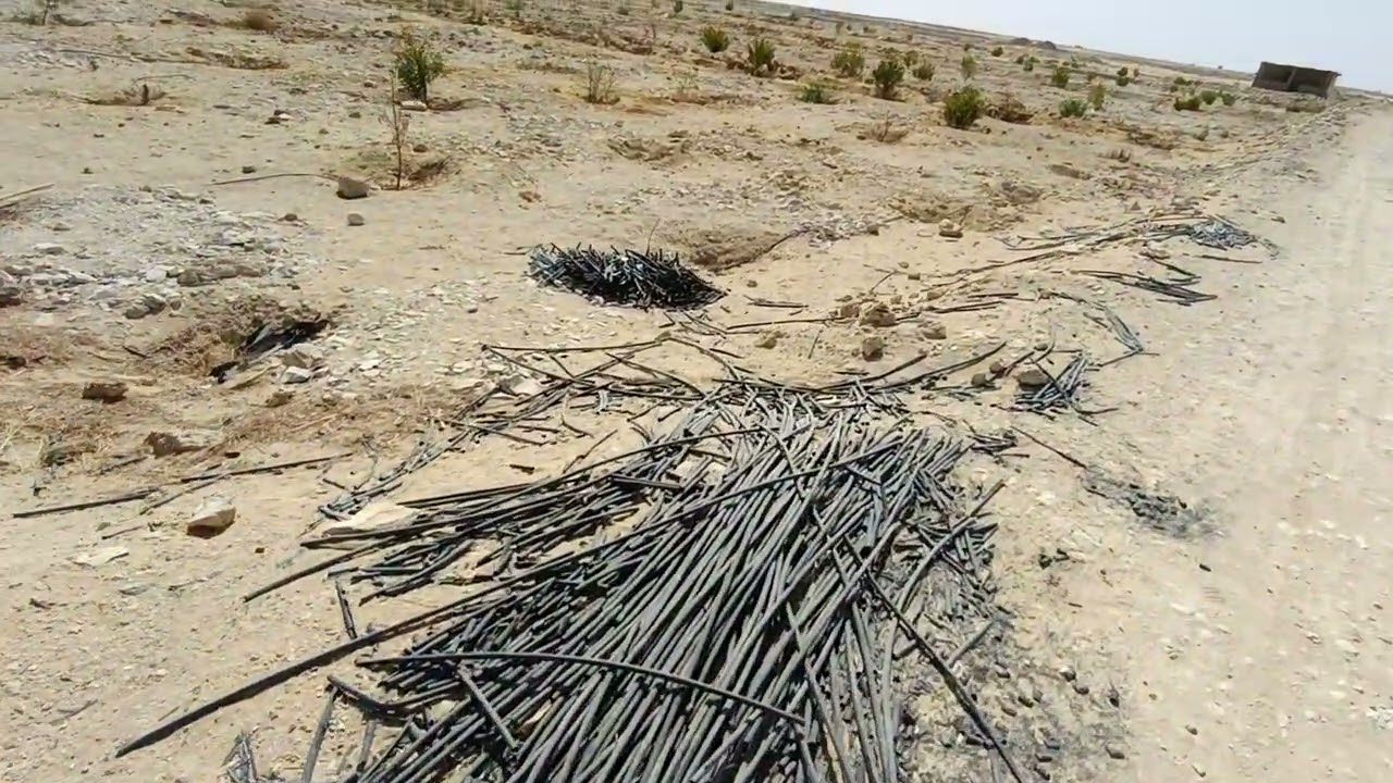 11فدان وبيت وبركه وتين شوكي طارح وخوخ طارح وبرسيم حجازي والسعر مفاجاه اخر الفيديو