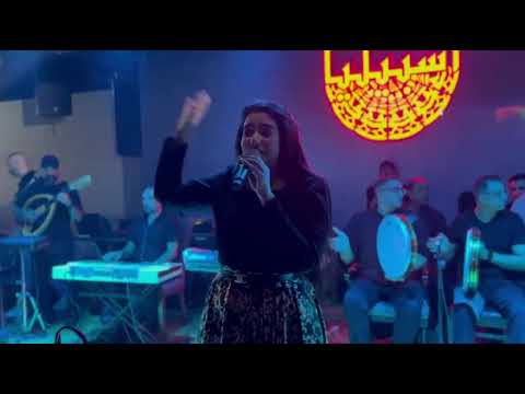 يارا الشافعي حفلات 
