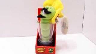 Tequila Worm