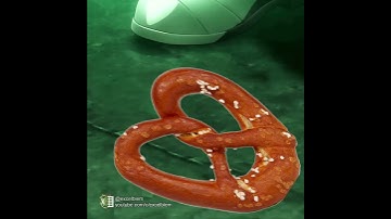 Dimitri loses his mind after seeing a pretzel for the first time