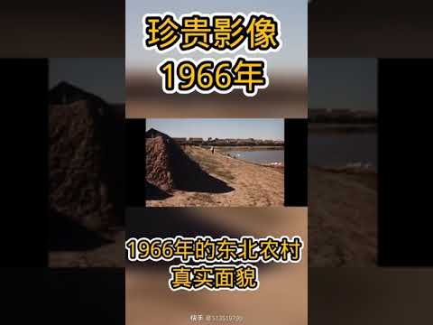 珍贵影像：1966年东北农村的真实面貌。