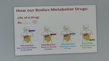 Avoiding adverse drug reactions