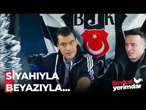 Şevkat Yerimdar BEŞİKTAŞ  Sahneleri - Şevkat Yerimdar