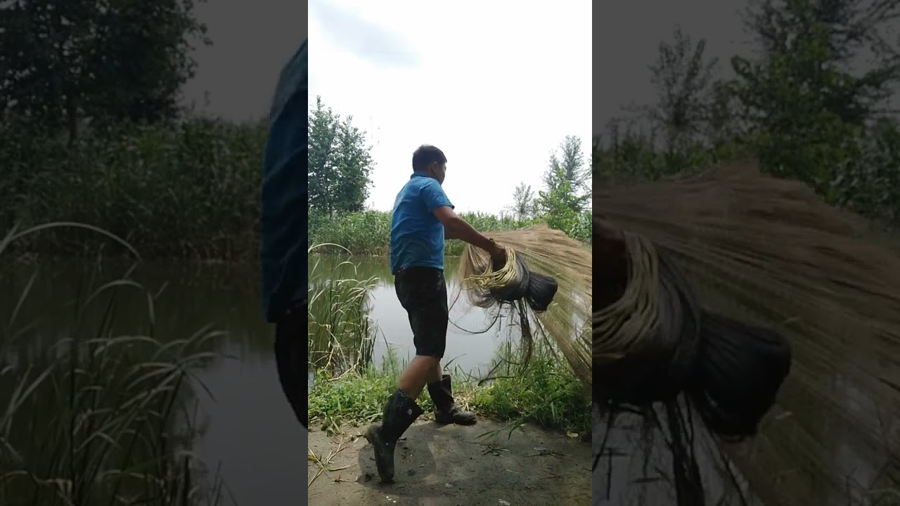 Best Net Fishing Video   Traditional Catching Fish in The River