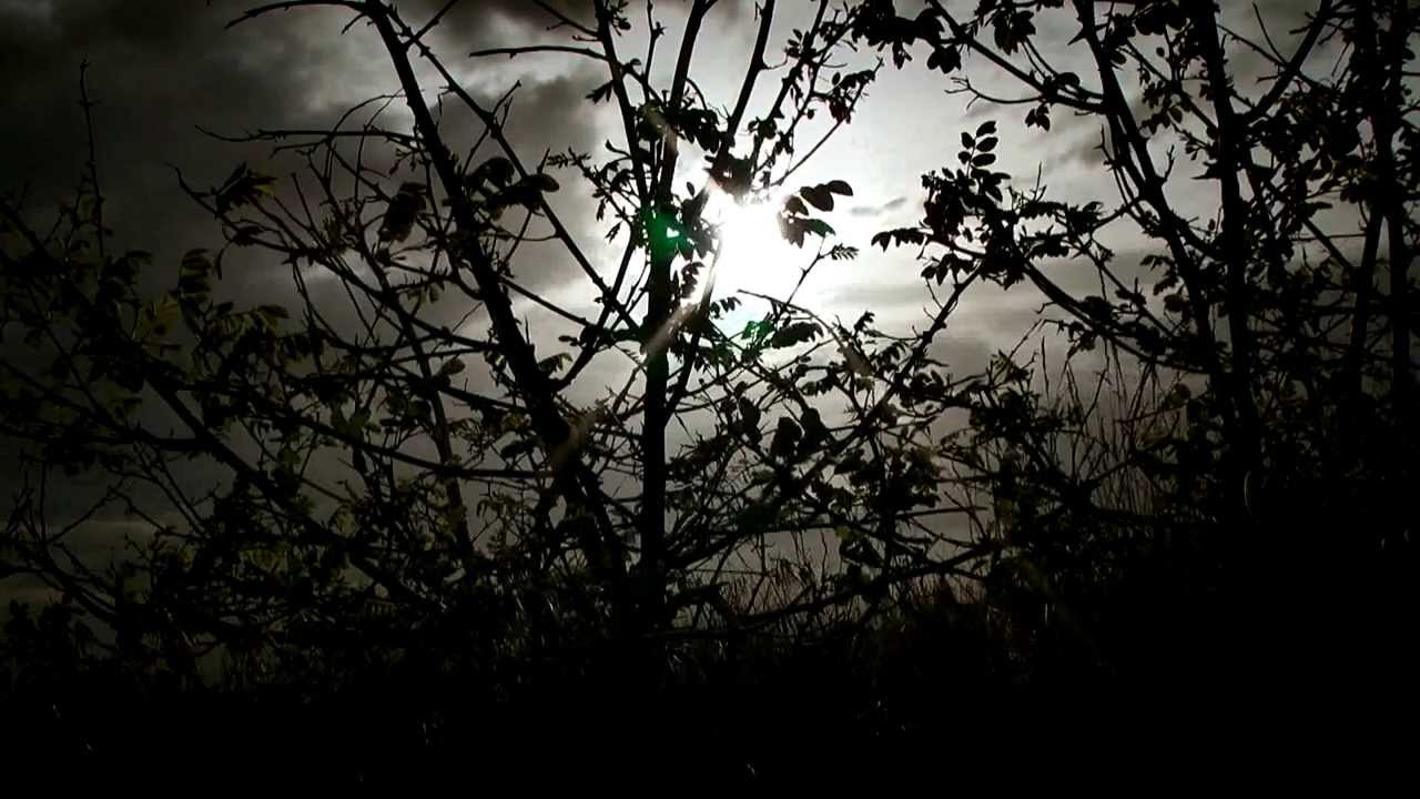 official secrets La Grande Madre (Official Trailer by DFP)