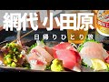 [日帰りひとり旅]「網代・小田原」