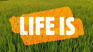 Life Is (Al Jarreau)
