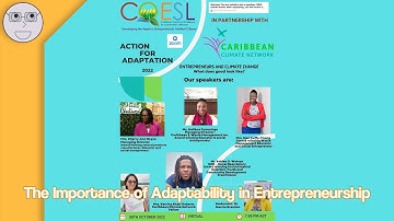 The Importance of Adaptability in Entrepreneurship