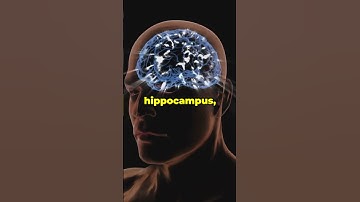 Neuro Cognitive Intelligence #curiousguyandai #brain #facts #science