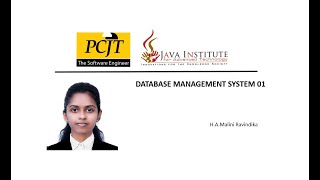 Famous Data Base Task 20 Net Worth