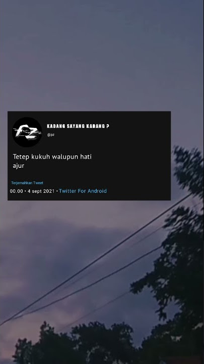 Story Wa Versi lagu buih jadi permadani
