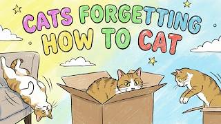 Cats Forgetting How to Cat (Pure Chaos)