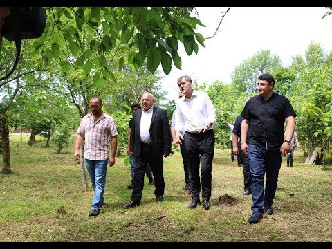 ეკომიგრანტი ოჯახებისთვის შესყიდული სახლები გურიის რეგიონში