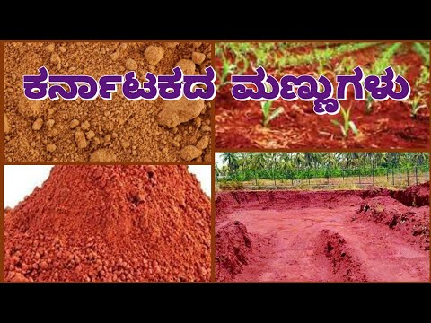 ಕರ್ನಾಟಕದ ಮಣ್ಣುಗಳು | ಮಣ್ಣಿನ ವಿಧಗಳು | Karnataka Soils | Different Types of Soils in Karnataka |