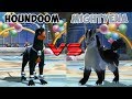 Pokemon battle revolution  houndoom vs mightyena