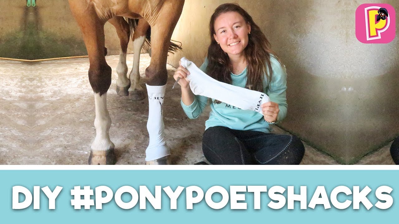 Как содержать пони в чистоте: лайфхаки от Felinehoi! | Сделай сам | Penny TV
