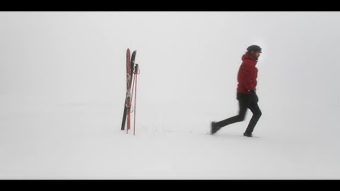 LIONLION - Sidewalk (Official Music Video)