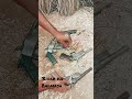 9mm 12bore katta 30bor bihari gun 9mm 12bore katta 30bor bihari gun