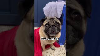 Send This To Your Bestie