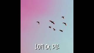 Lofi Or Die | Lofi Hip Hop Instrumental | Chill Freestyle Rap Beat