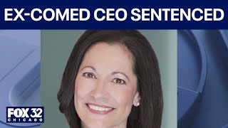 Ex-ComEd CEO Anne Pramaggiore sentenced to 2 years