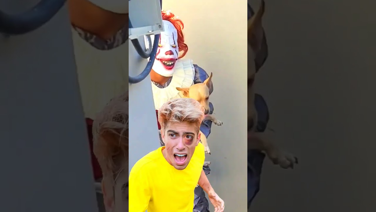 Alejo igoa EL PAYASO Captura mi PERRITO 😭🐶