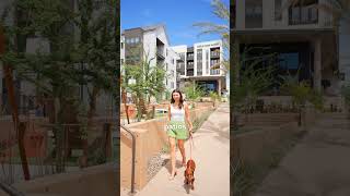 Where DINKWADs Actually Want to Live in Phoenix | Local Expert Breakdown