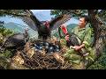 72 Hours Survival: Hunting Wild Turkeys &amp; Discovery Giant Mysterious Black Eggs in the Forest!