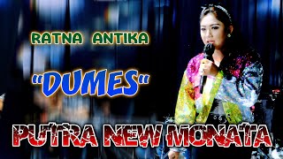 DUMES RATNA ANTIKA FT PUTRA NEW MONATA DeddyMusic @rendystudio