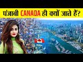 Why are punjabi people fleeing to canada  why sikhs migrate to canada